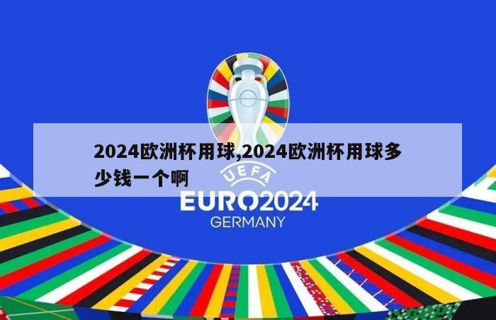 2024欧洲杯用球,2024欧洲杯用球多少钱一个啊